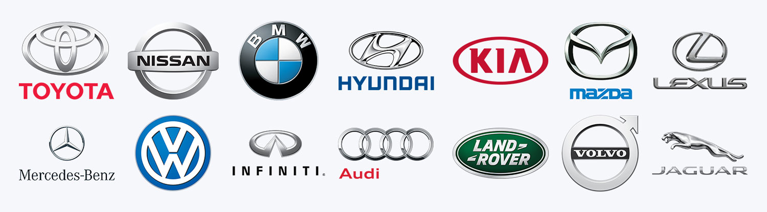 OEM Logo Layout